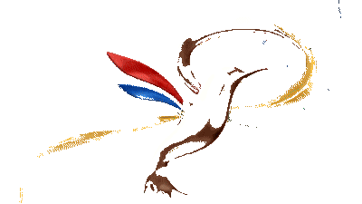 Nivvi